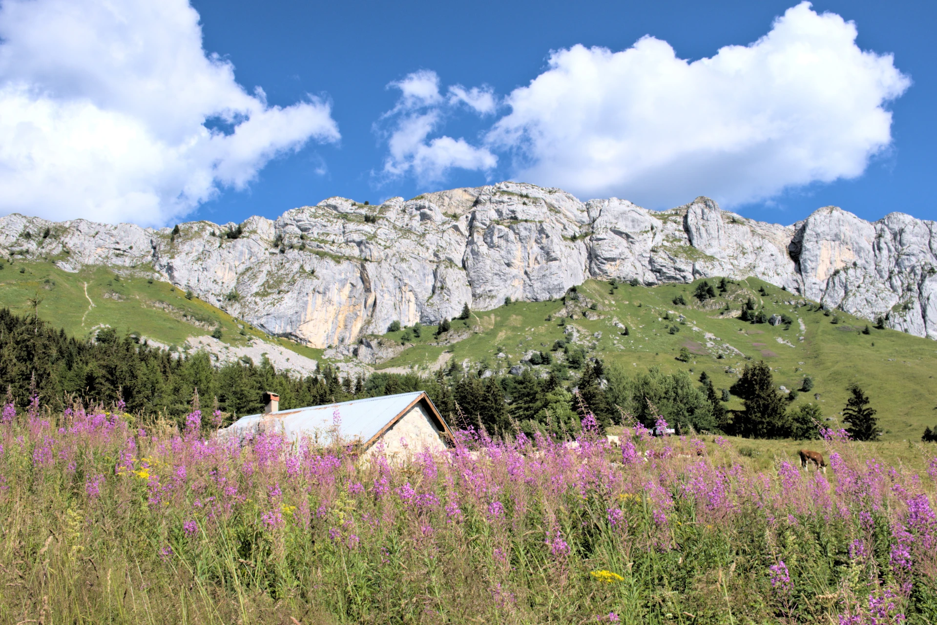 Sortie facile<br> Rando douce et découverte